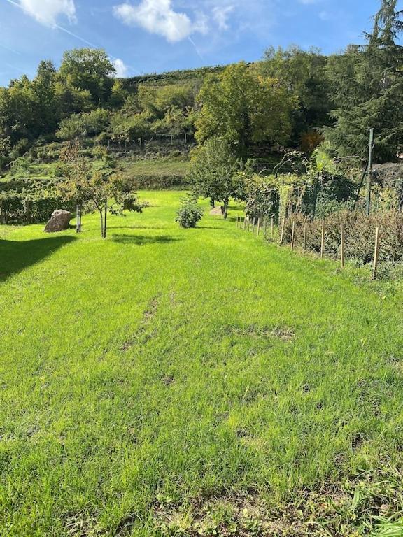 Maison De Charme En Alsace - In Vino Veritas - 12 Personnes Gueberschwihr Esterno foto