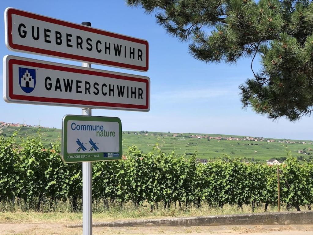 Maison De Charme En Alsace - In Vino Veritas - 12 Personnes Gueberschwihr Esterno foto